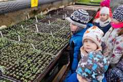 IMG-20220401-WA0006