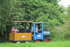IMG_1331