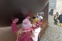 IMG_20260219_110629