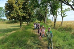 IMG_20230628_092903