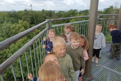 IMG_20230628_094740