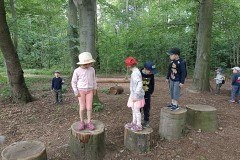 IMG_20230628_100530