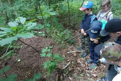 IMG_20230628_102521