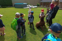 IMG_20230628_104029