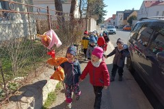 IMG_20250320_101852