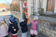 IMG_20250320_102529
