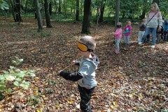 IMG_20240917_103822