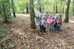 IMG_20240917_104606