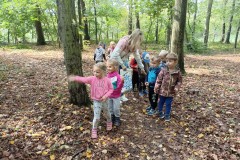 IMG_20240917_104632