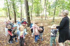 IMG_20240917_105056