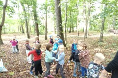 IMG_20240917_105119