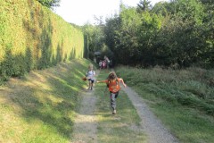 IMG_6790