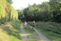 IMG_6791