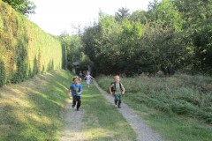 IMG_6794