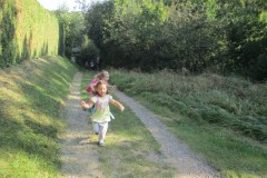 IMG_6798