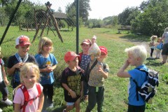 IMG_6816