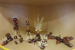 IMG_20221005_083743