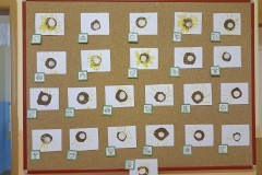 IMG_20221005_083901