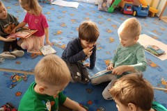 IMG_20250203_094526