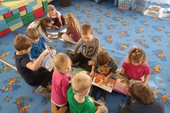 IMG_20250203_094629
