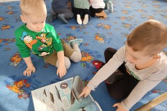 IMG_20250203_094859