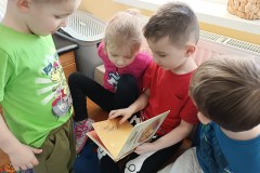 IMG_20250204_094345