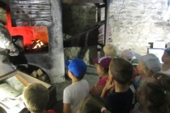 IMG_8123