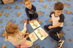 IMG_20250402_092116