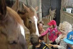 IMG_20240409_100554