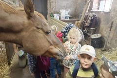 IMG_20240409_100626