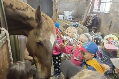 IMG_20240409_100733