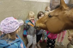 IMG_20240409_101017