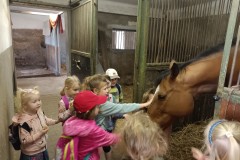 IMG_20240409_101205