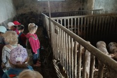 IMG_20240409_101833