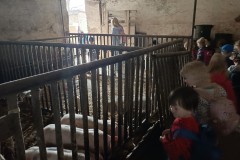IMG_20240409_101908