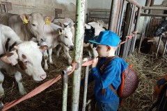 IMG_20240409_102552