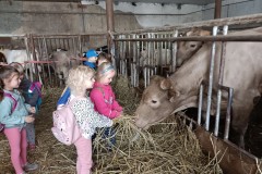 IMG_20240409_102716