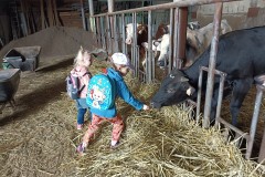 IMG_20240409_102843