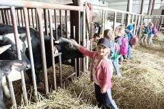 IMG_20240409_102911