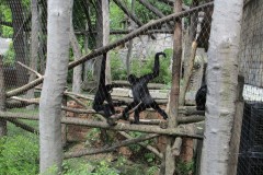IMG_1058
