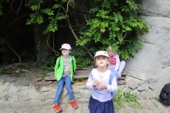 IMG_1071