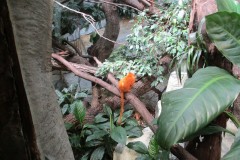 IMG_1081