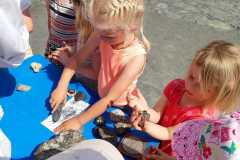 IMG-20230620-WA0029