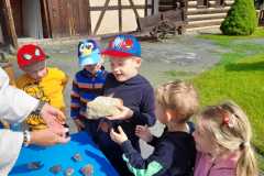 IMG-20250611-WA0029