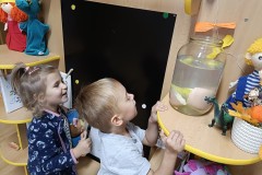 IMG_20241017_075830