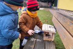 IMG-20241129-WA0002