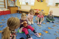 IMG_20241126_092454