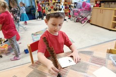 IMG_20241127_080752