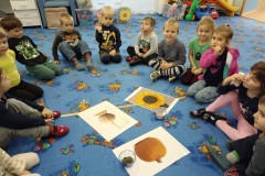 IMG_20241129_094328