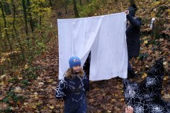 IMG_20201110_103316